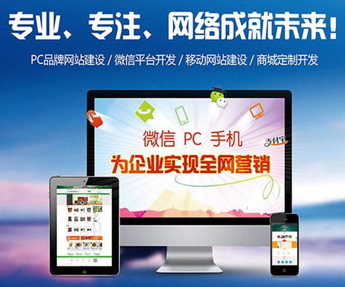 提供網(wǎng)站建設(shè)公司